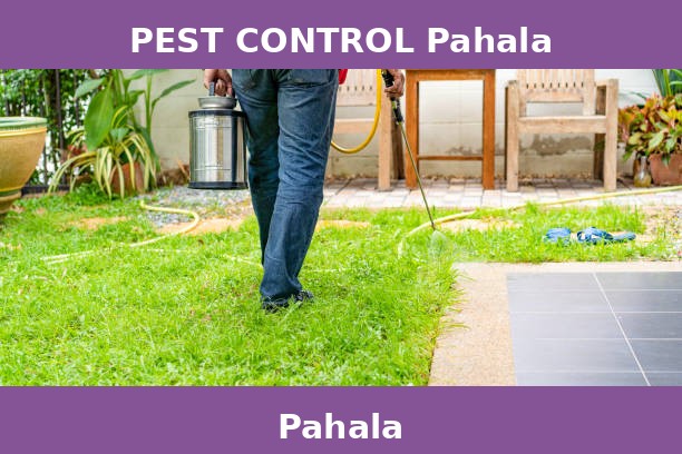 PEST CONTROL Pahala
